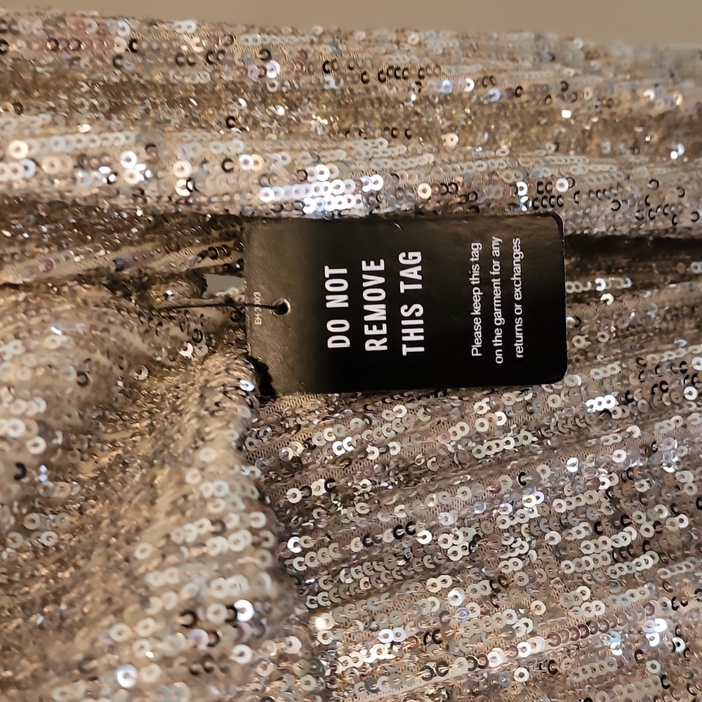 Express Silver and Nude Sequin Dress NWT - Picture 3 of 6